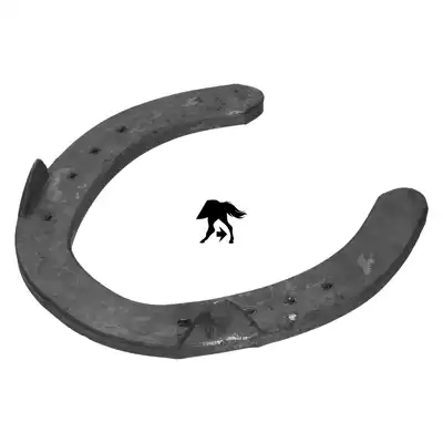 DF Kerckhaert 20x8 postérieur 0 PL_4