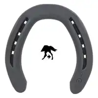 DF Fett 25x8 hinten 1 SK