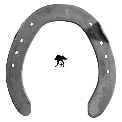 DF Grand Prix hinten 2 SK_2