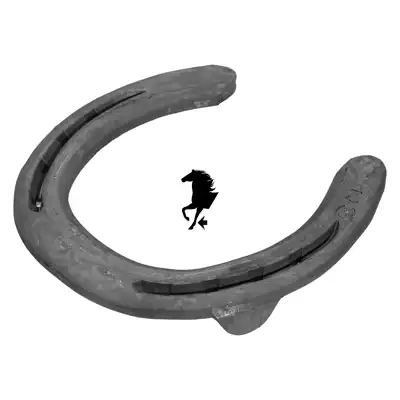 DF Quarter Motion Plus vorne 2x0 SK_3