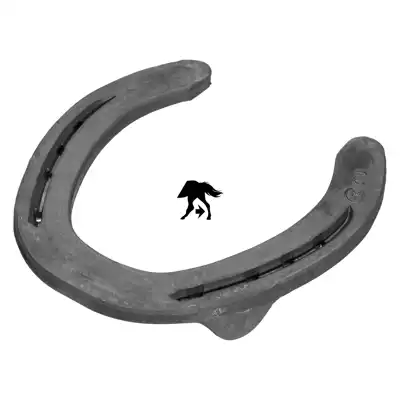 SX 8 Kerckhaert hinten 1 SK_3
