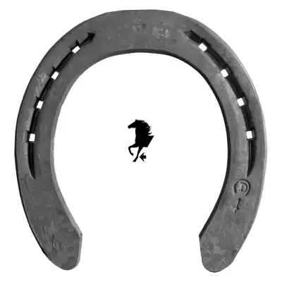 Meister 8mm front 7 TC_1