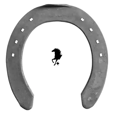 Meister 8mm front 7 TC_2