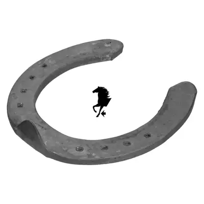 Meister 8mm front 7 TC_4
