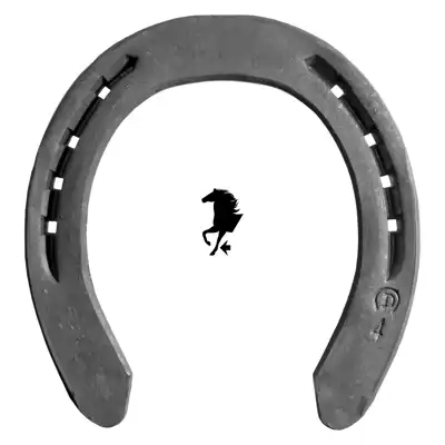 Meister Quarter 10mm front 3 SC_1
