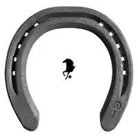 Classic Plus  24x8 vorne 3 ZK