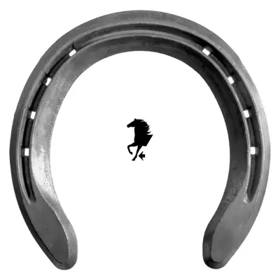 Triumph Motion Quarter vorne 2x0 SK_1