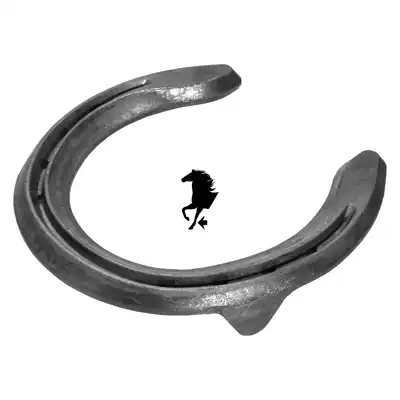 Triumph Motion Quarter vorne 2x0 SK_3