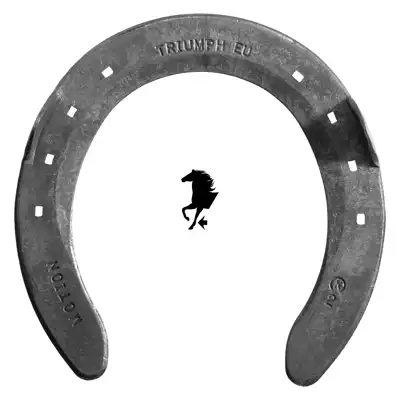 Triumph Motion Quarter front 3 SC_2