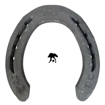 Kerckhaert Tölt 22x8 postérieur 3x0 PL_1
