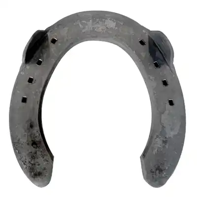 Kerckhaert Tölt 22x8 postérieur 3x0 PL_3