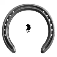 Steel Kings DR 16x8 front 4-28 TC