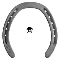 TNC Kerckhaert 16x5 hind 0