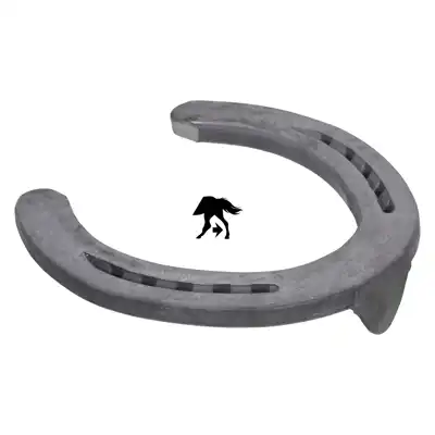 Ryder WH hinten 9 ZK_3