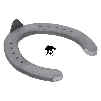 Ryder WH hinten 9 ZK_4