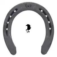Ryder Werkman Quarter 22x10 vorne 5 SK