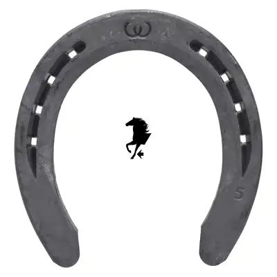 Ryder Werkman Quarter 22x10 vorne 5 SK_1