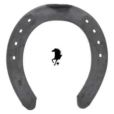 Warrior 8mm front 2 TC_2