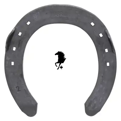 Warrior Quarter 8mm front 2x0 SC_2