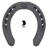 Warrior ICE 22x8 vorne 3x0 ZK