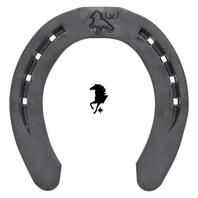 Warrior ICE 22x8 vorne 3x0 ZK_1