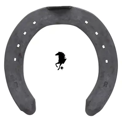 Euroskill WH 13mm antérieur 7 PP_2