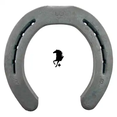 Euroskill WH 12.5mm antérieur 4 PP_1