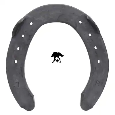 Euroskill WH 13mm postérieur 7 PL_2