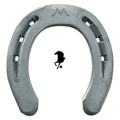 Libero Pony 18x7 vorne 6x0 ZK_1