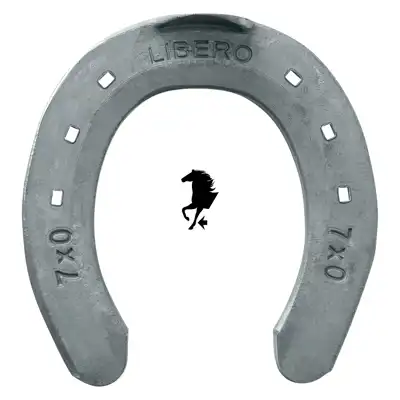 Libero Pony 18x7 vorne 6x0 ZK_2