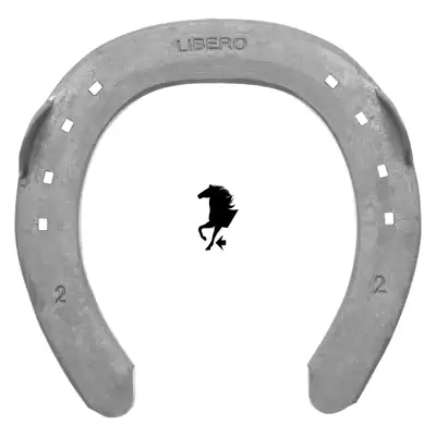 Libero SC-Quarter 22x8 vorne 3 SK_2