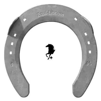 Equilibrium Quarter 10mm vorne 2 SK_2
