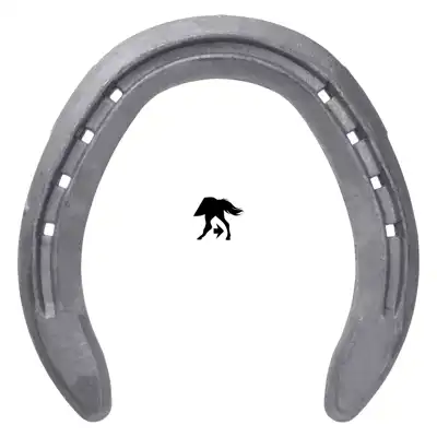 Eventer hinten 1 SK_1