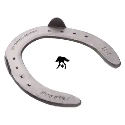 Eventer hinten 1 SK_4