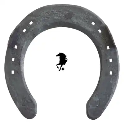 Fifpe Sport Jump front 2 SC_2