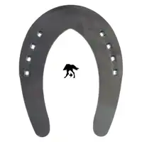 DS Sliding GS 25 hinten 1