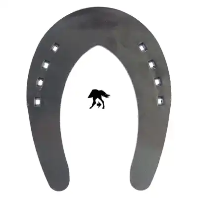 DS Sliding GS 30 hinten 1_1