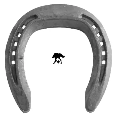 Centre Fit hinten 3 SK_1