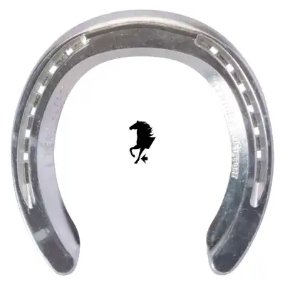 Alu Century Support front 0 TC_1