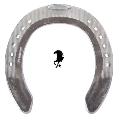 Alu Century Support front 0 TC_2