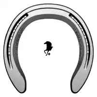 Alu Century Support Quarter front 1 SC