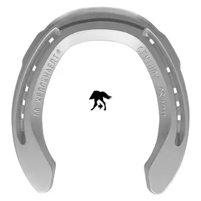 Alu Century Support hind 0 SC_1