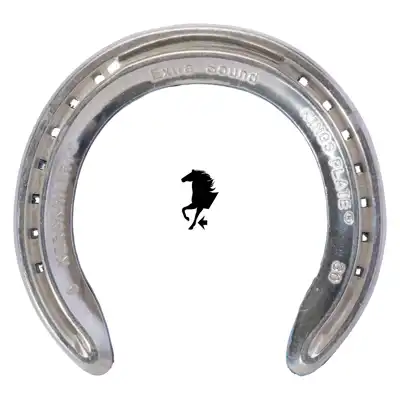 Kings ALU Blue Bond front 4-28 TC_1
