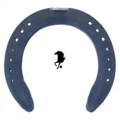 Kings ALU Blue Bond front 4-28 TC_2