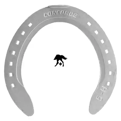 Concorde Aluminium postérieur 9 PL_2