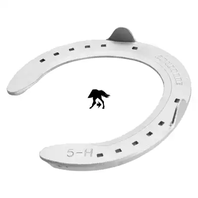 Concorde Aluminium postérieur 9 PL_3