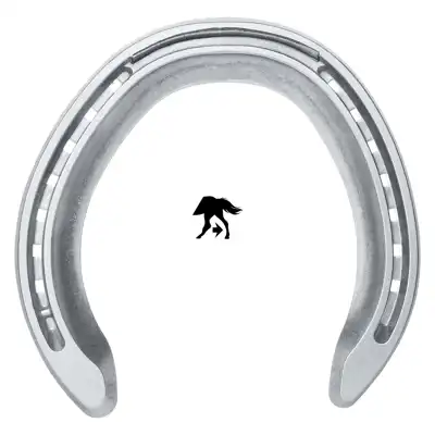 Concorde Xtra Aluminium hinten 6 SK_1