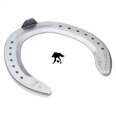 Concorde Xtra Aluminium hinten 6 SK_4