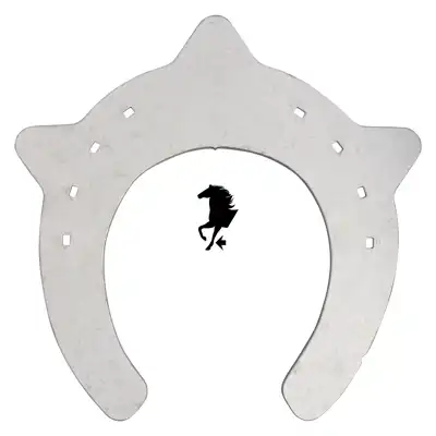 ACR 110 Suspensor antérieur 1_2