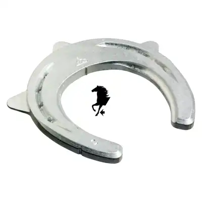 ACR 110 Suspensor antérieur 1_4